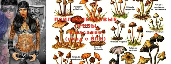 мяу мяу кристалл Коряжма