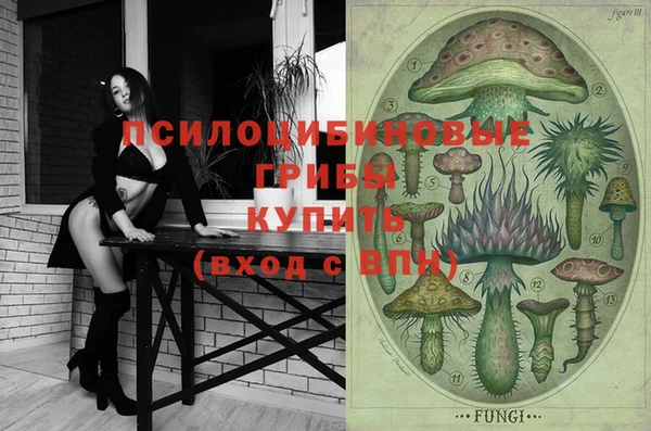 мяу мяу кристалл Коряжма